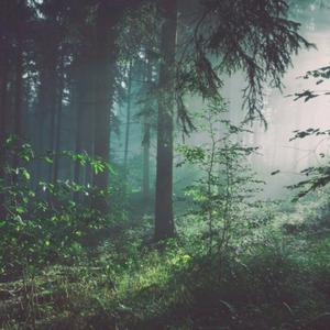 Nicolette SheaBRAZZER
